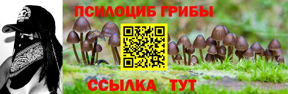 Новый Уренгой  сколько стоит  Вход с VPN  Псилоцибиновые грибы MAGIC MUSHROOMS 